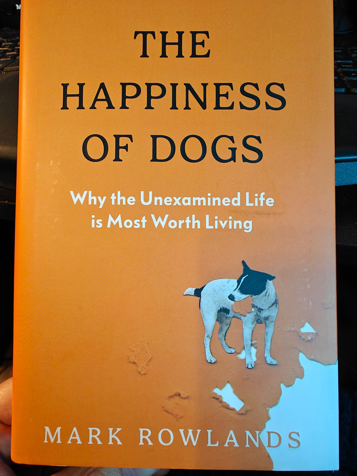 The cover of The Happiness of Dogs