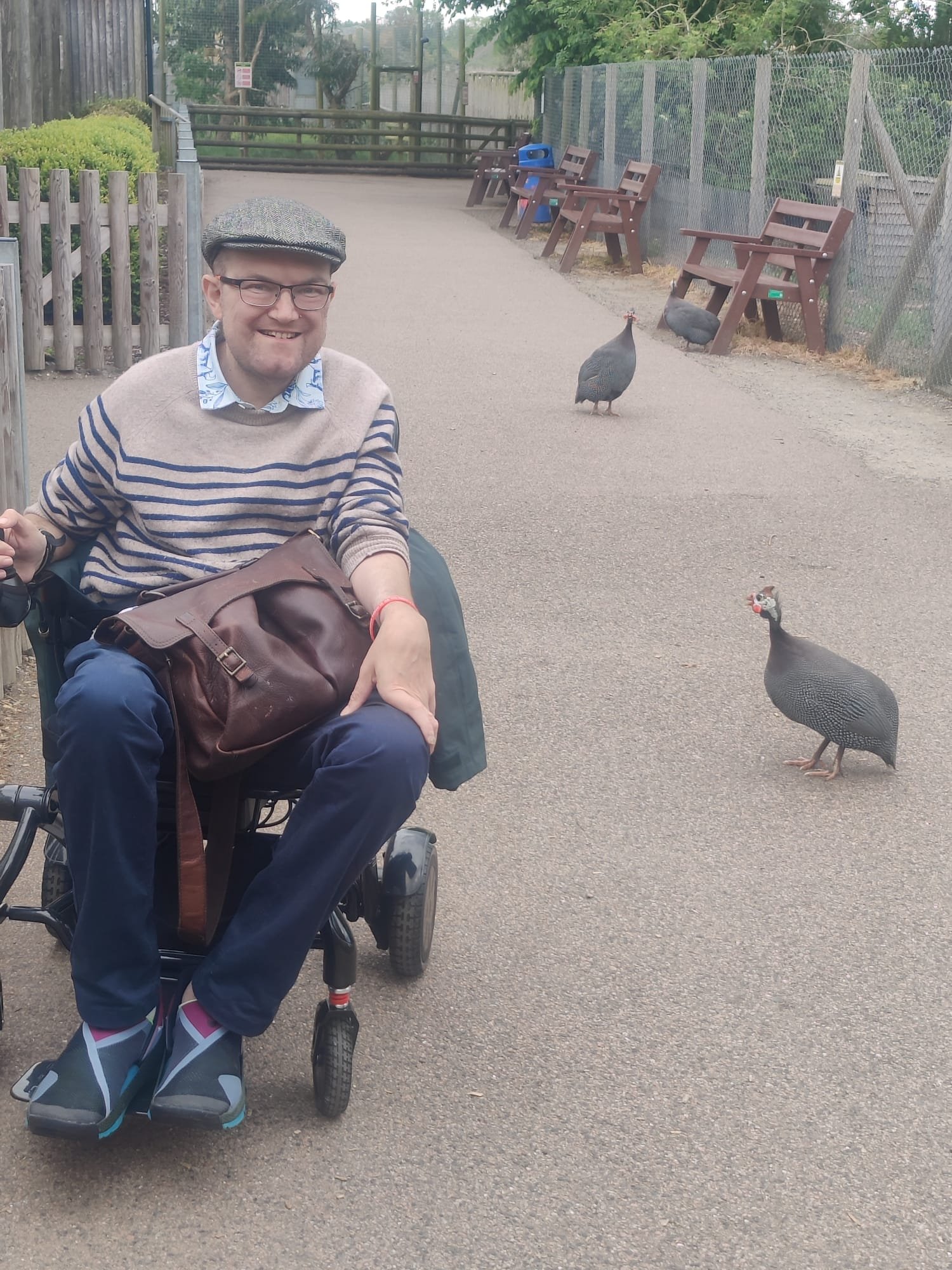 Me in my wheelchair in front of some guinea fowl 