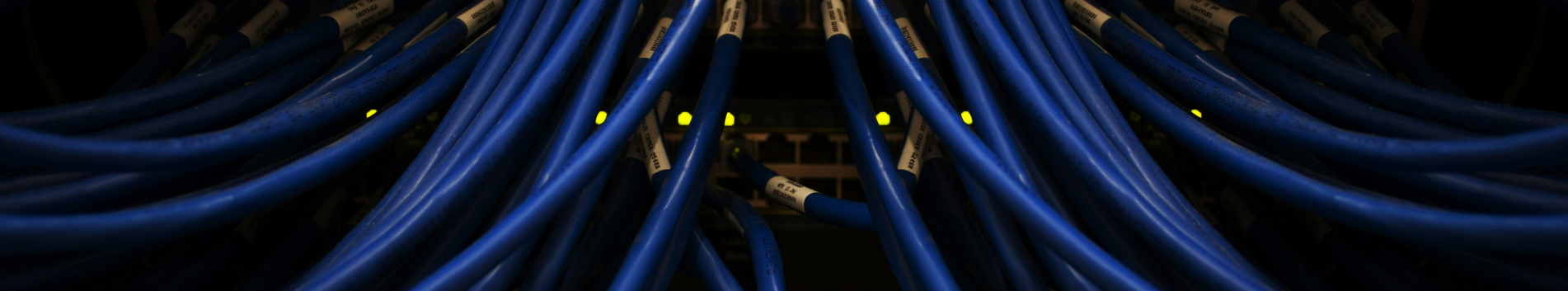 History and Digital Preservation