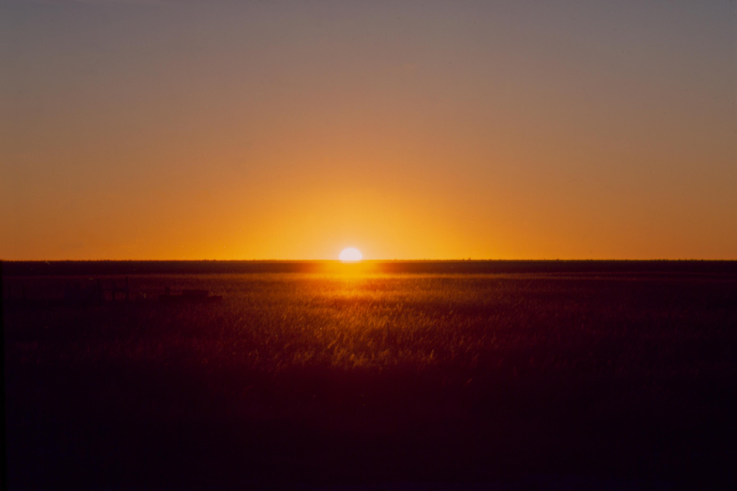 Now accepting proposals to 'New Horizons in Contemporary Writing' series
